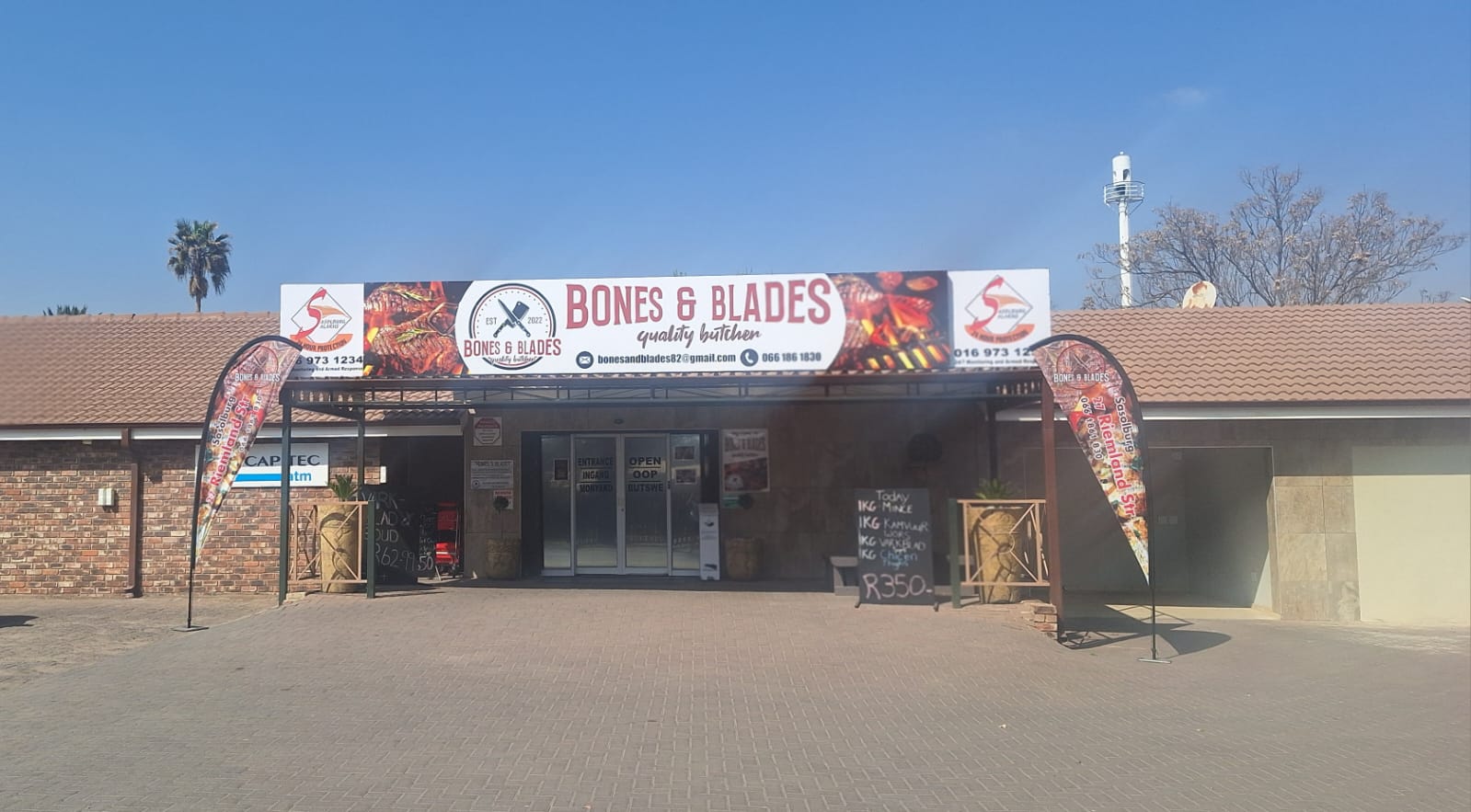 Bones and blades